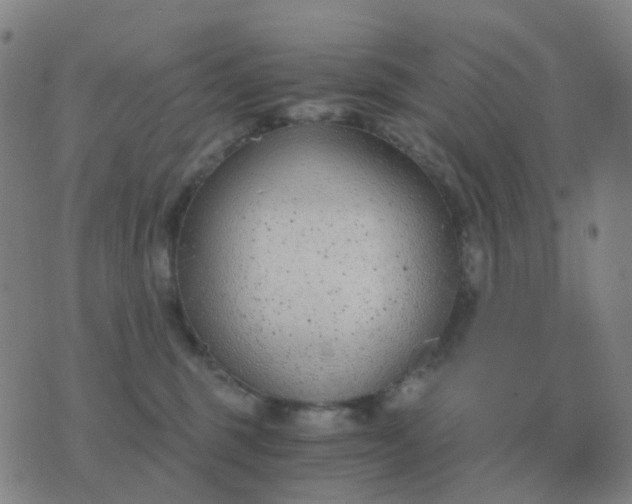 X0000076390375200610202110