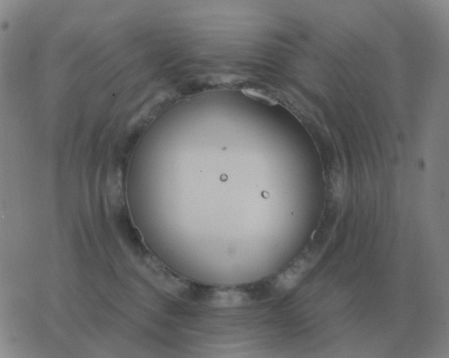 X0000076390376200610202110