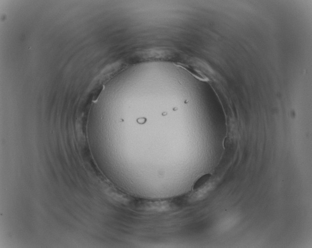 X0000076390377200610202110