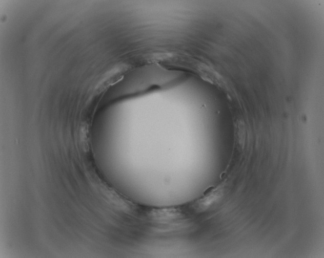 X0000076390378200610202110