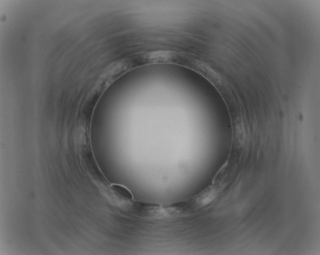 X0000076390379200610202110