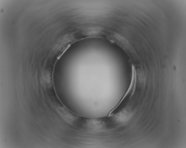 X0000076390380200610202110