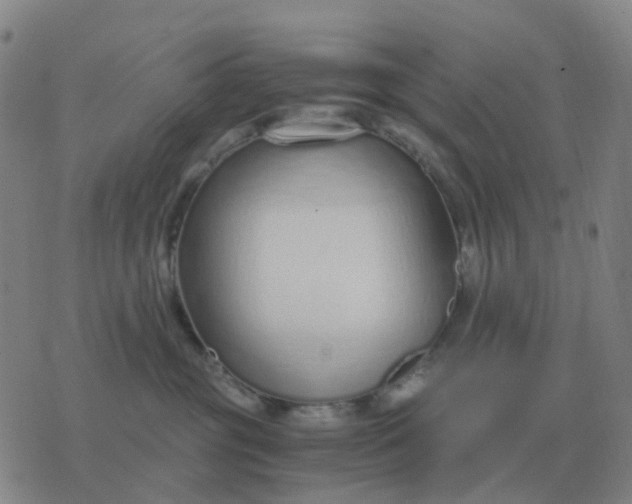 X0000076390381200610202110