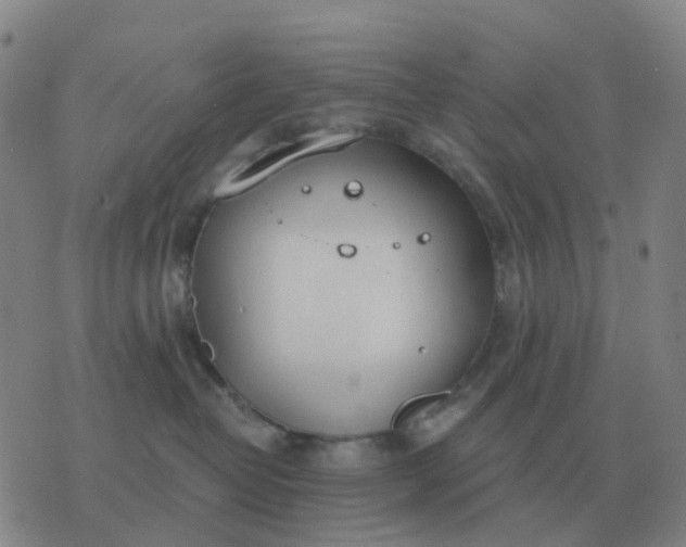 X0000076390382200610202110