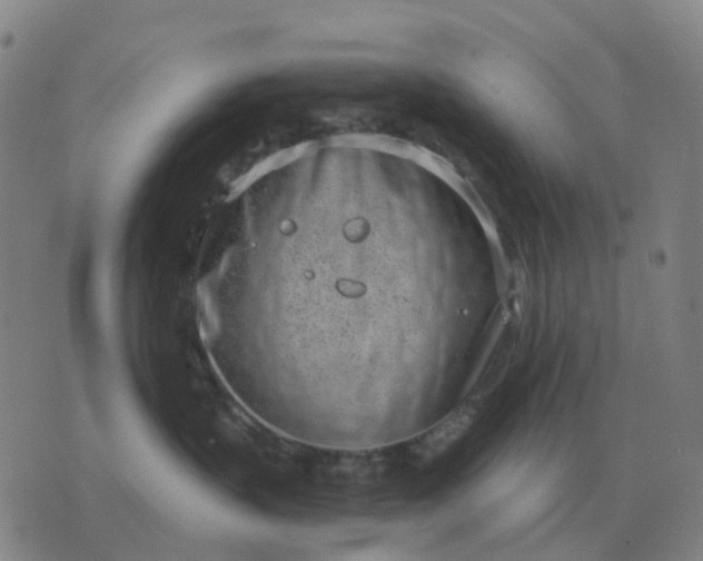 X0000076390383200610202110