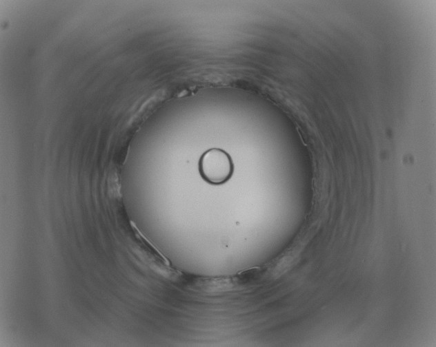 X0000076390384200610202110