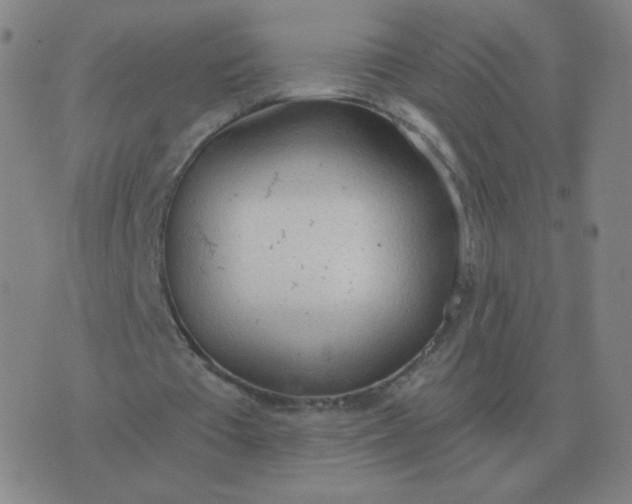 X0000076390385200610202110