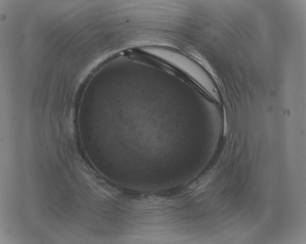 X0000076390387200610202110