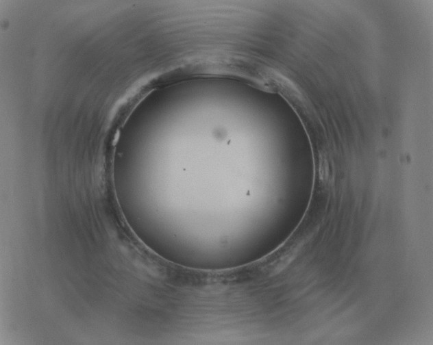 X0000076390388200610202110