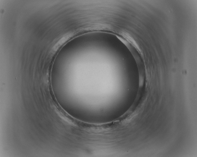 X0000076390389200610202109