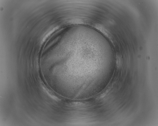 X0000076390390200610202109