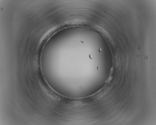 X0000076390392200610202109