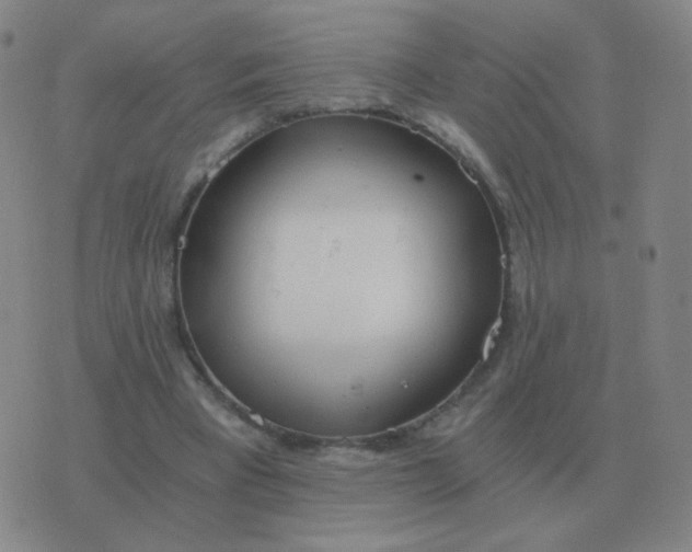 X0000076390393200610202109