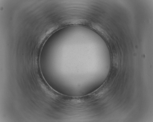 X0000076390394200610202109