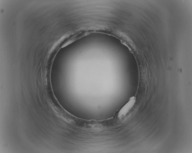 X0000076390395200610202109