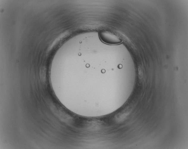 X0000076390396200610202109