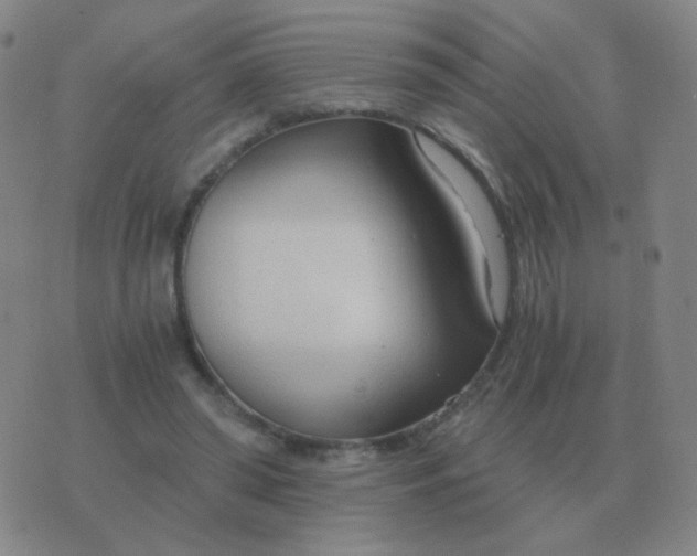 X0000076390398200610202109