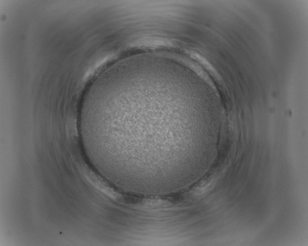 X0000076390399200610202109