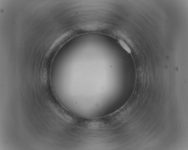 X0000076390400200610202109