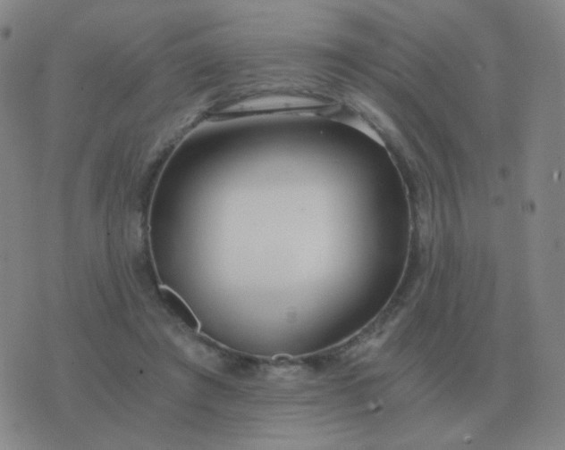 X0000076390401200610202109