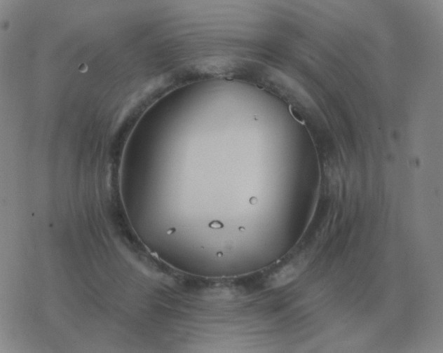 X0000076390404200610202109