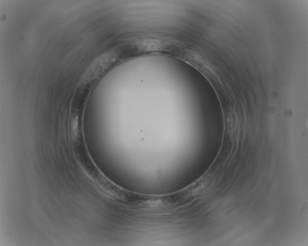 X0000076390406200610202109