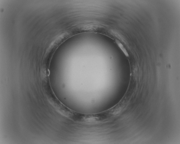 X0000076390407200610202109