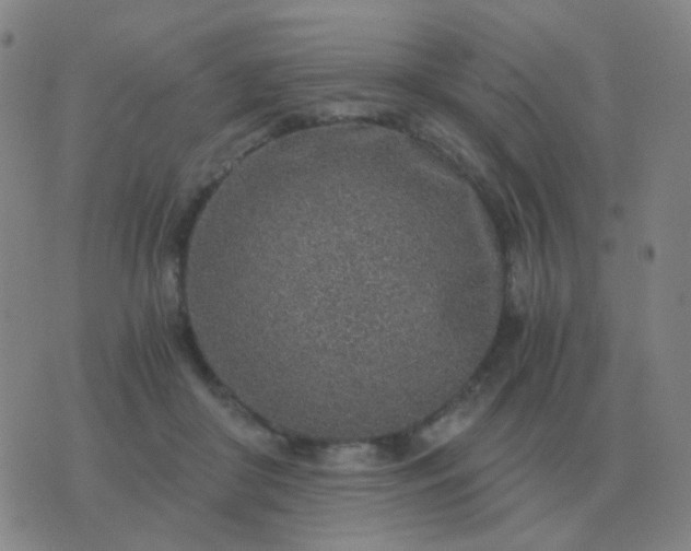 X0000076390410200610202109