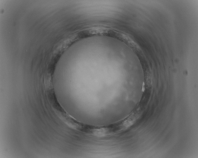 X0000076390411200610202109