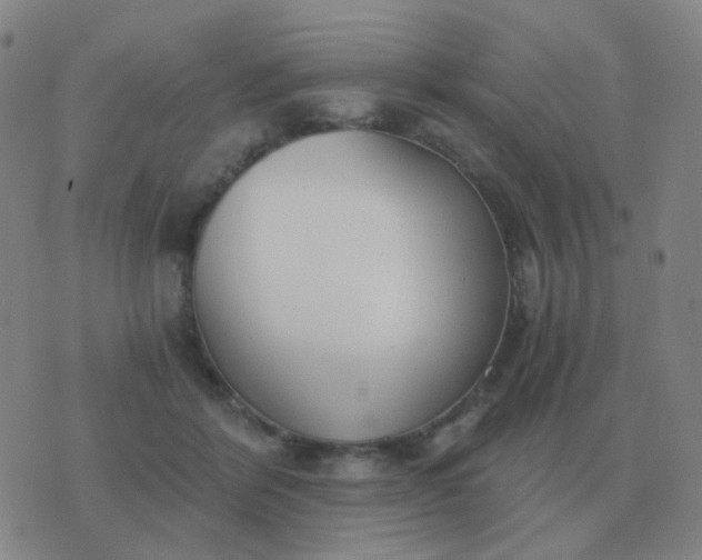 X0000076390412200610202109