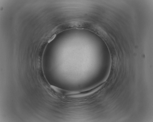 X0000076390413200610202109