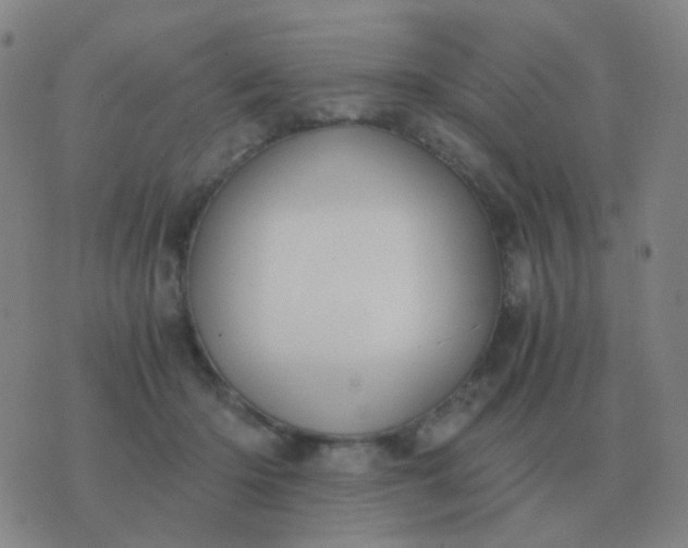 X0000076390414200610202109