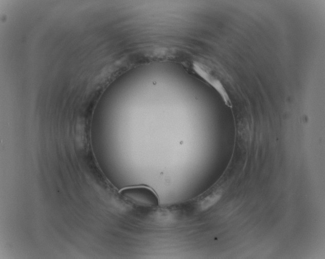 X0000076390416200610202109