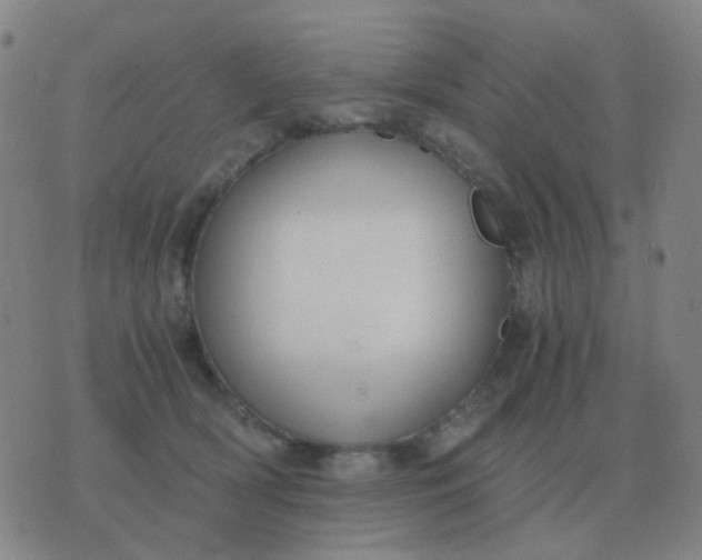 X0000076390418200610202109