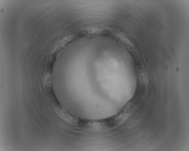 X0000076390419200610202109