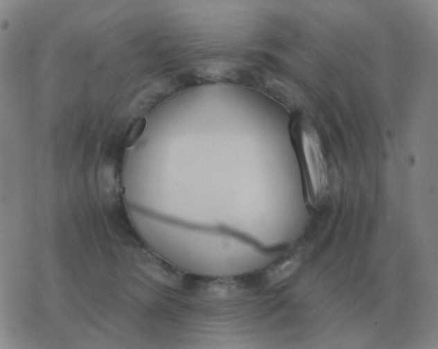 X0000076390420200610202109