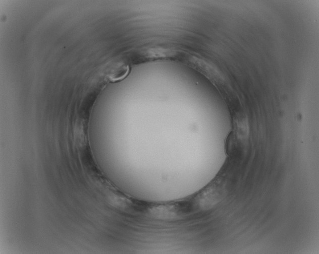 X0000076390422200610202109