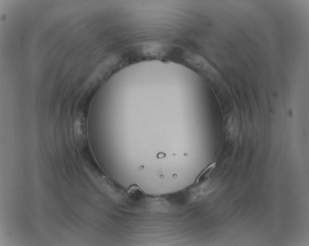 X0000076390424200610202109