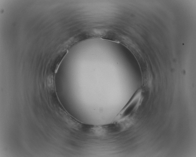 X0000076390425200610202109