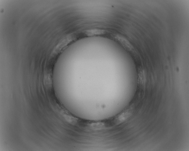 X0000076390426200610202109