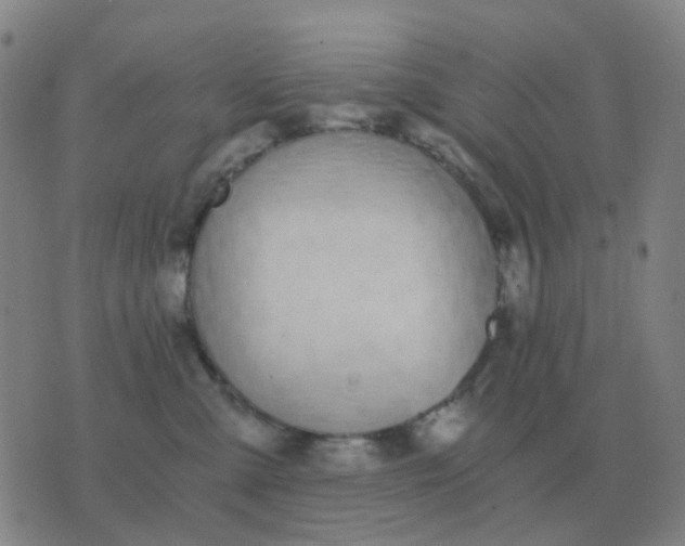 X0000076390427200610202109