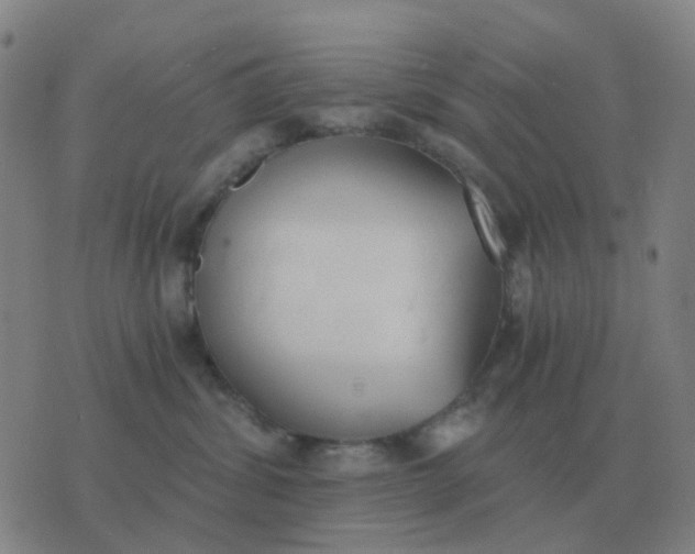 X0000076390428200610202109