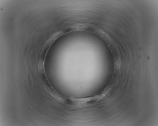 X0000076390429200610202109