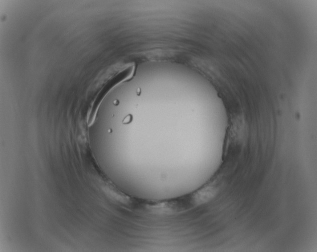 X0000076390430200610202109