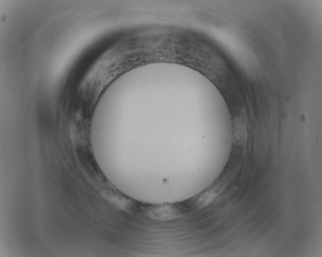 X0000076390431200610202109