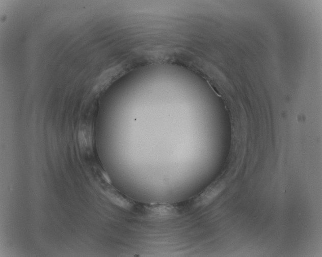 X0000076390432200610202109