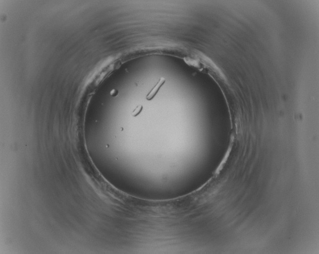 X0000076390436200610202108