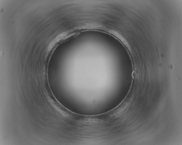 X0000076390437200610202108