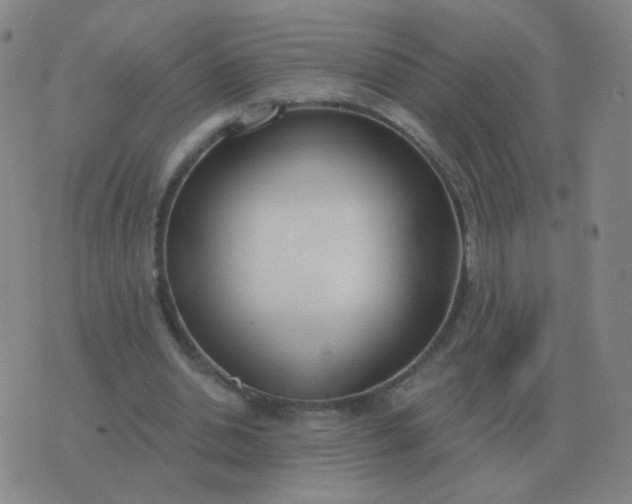 X0000076390438200610202108