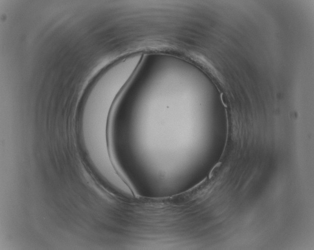 X0000076390439200610202108